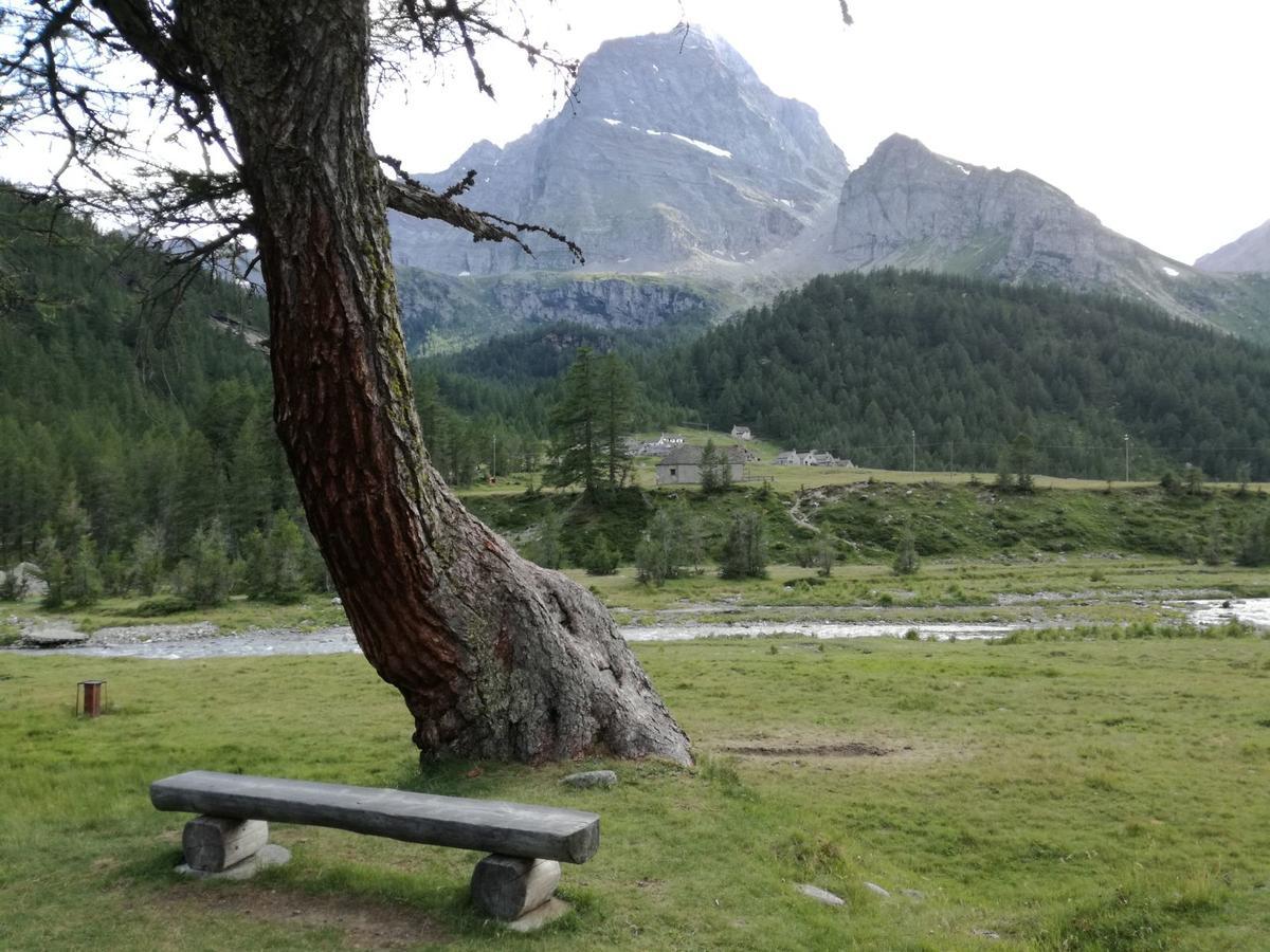 Voglia Di Veglia Hotell Varzo Exteriör bild
